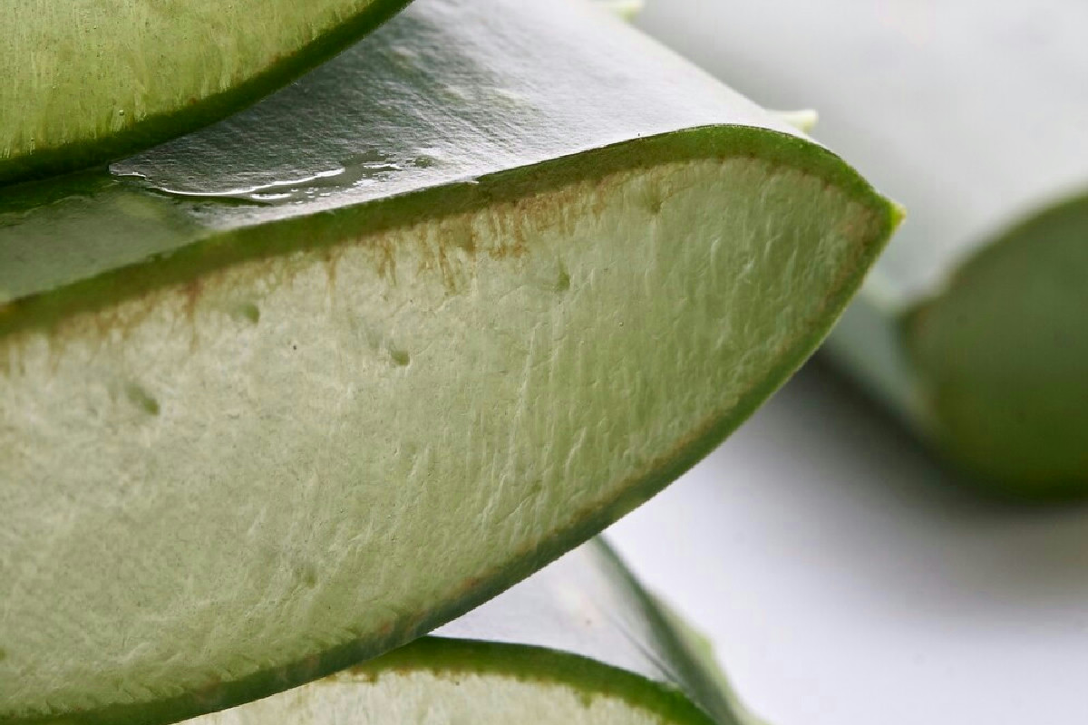 Prova questa abitudine in cucina che migliora l'energia del corpo e favorisce un benessere naturale adesso